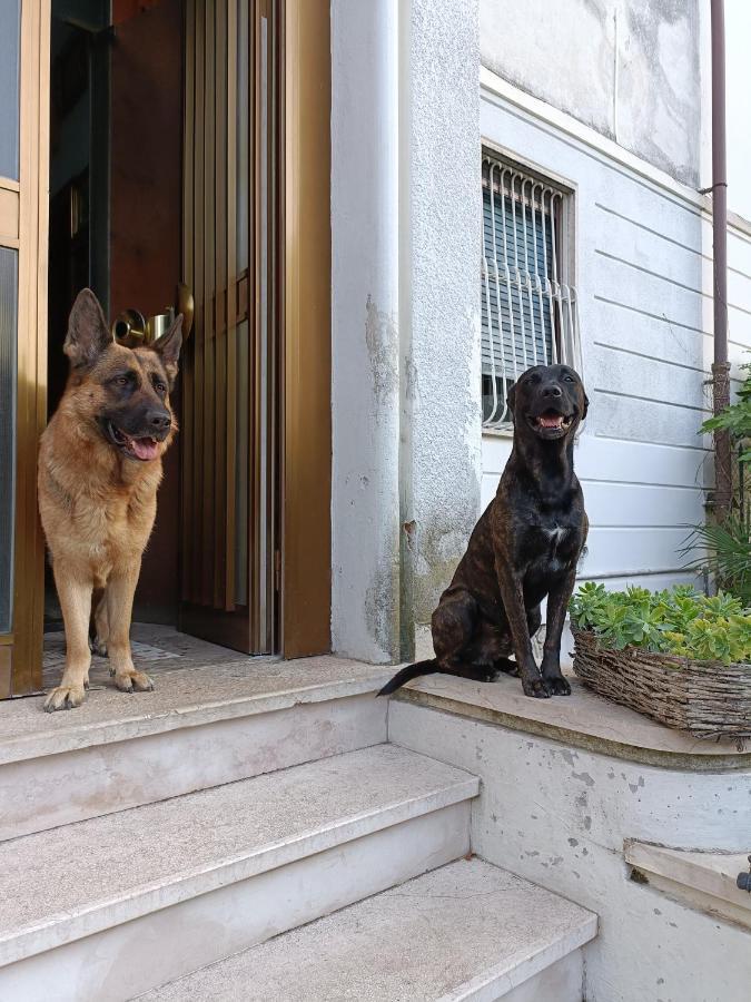 Bed and Breakfast Chez Martha Verona Exterior foto